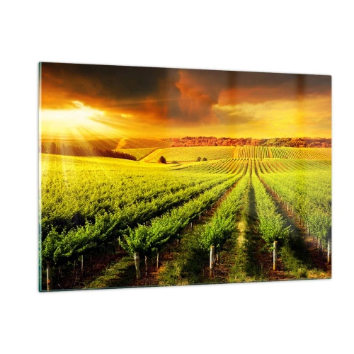 Obraz na skle - Pod austrálskym slnkom - 120x80 cm