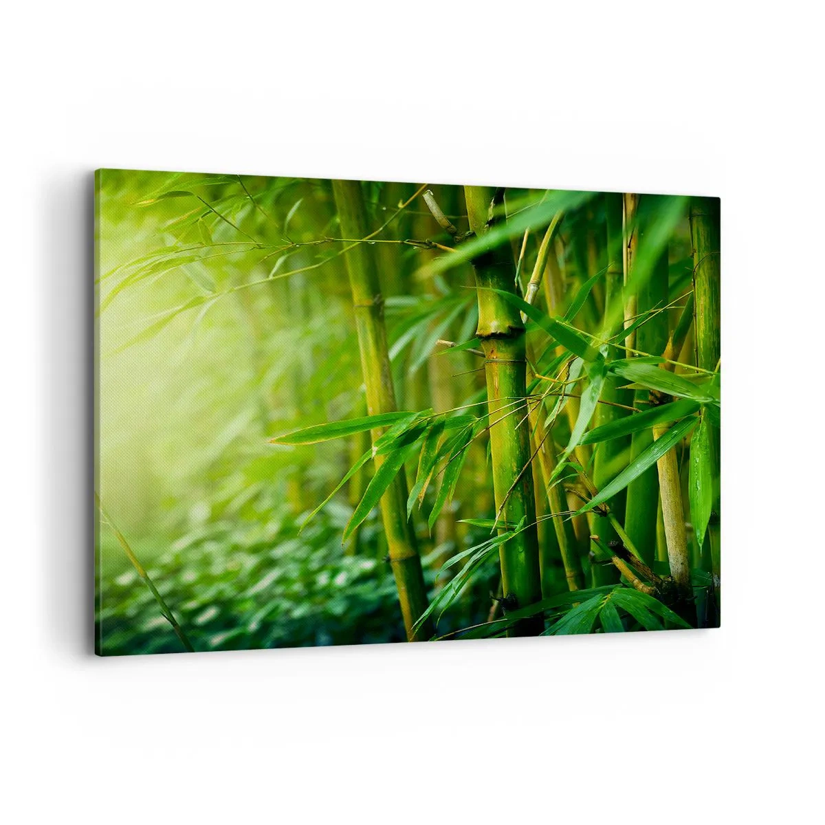 Obraz na plátne - Poznať samotnú zeleň - 100x70 cm