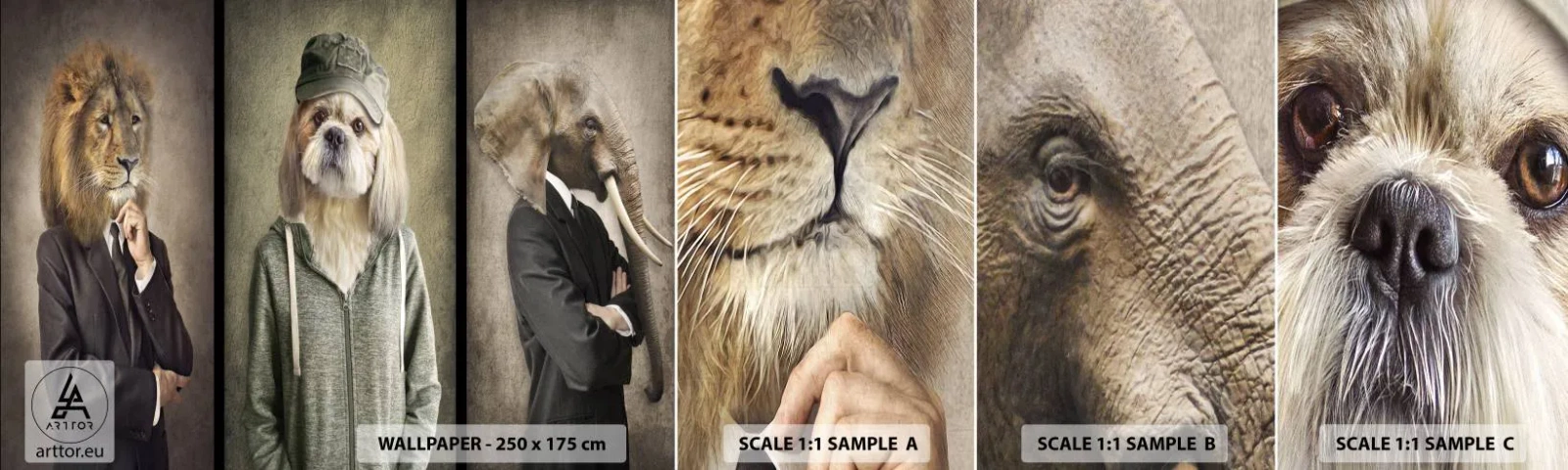 Vzorka samolepiacej fototapety Deluxe Sticker - Mám radšej kľud - Abstrakcia, Lev, pes - 100x30 cm