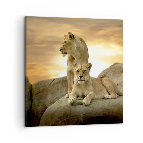 Obraz na plátne - Kráľovský majestát - 50x50 cm