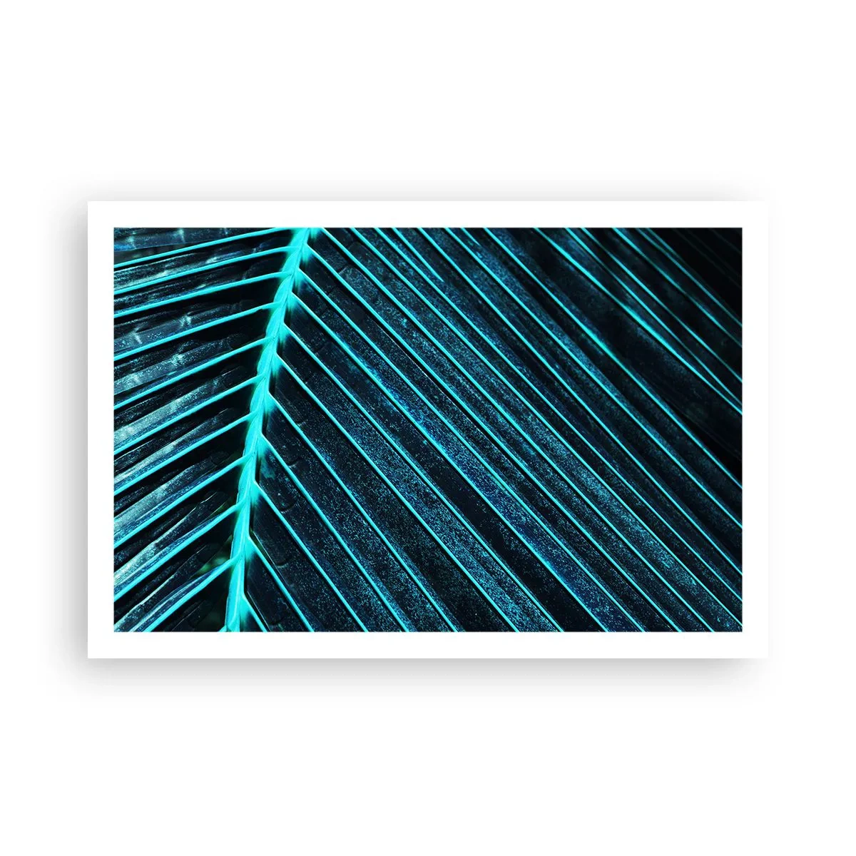 Plagát - Textúra zelene - 91x61 cm