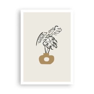Plagát - Monstera – ozdoba pre domácnosť - 70x100 cm