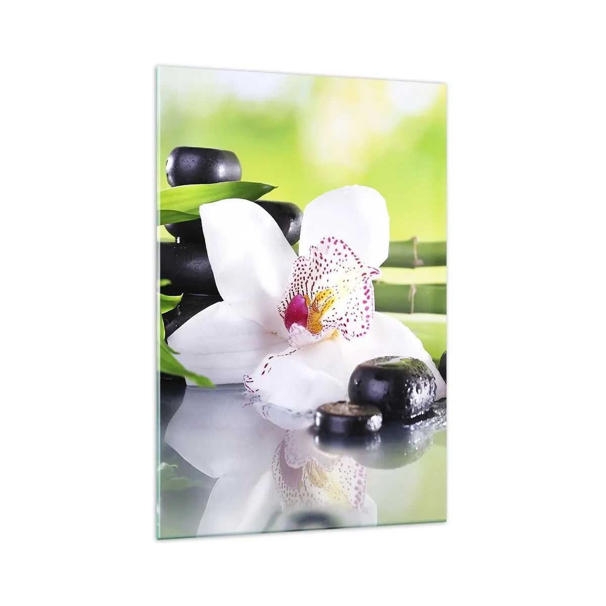 Obraz na skle - Chladná sviežosť - 70x100 cm