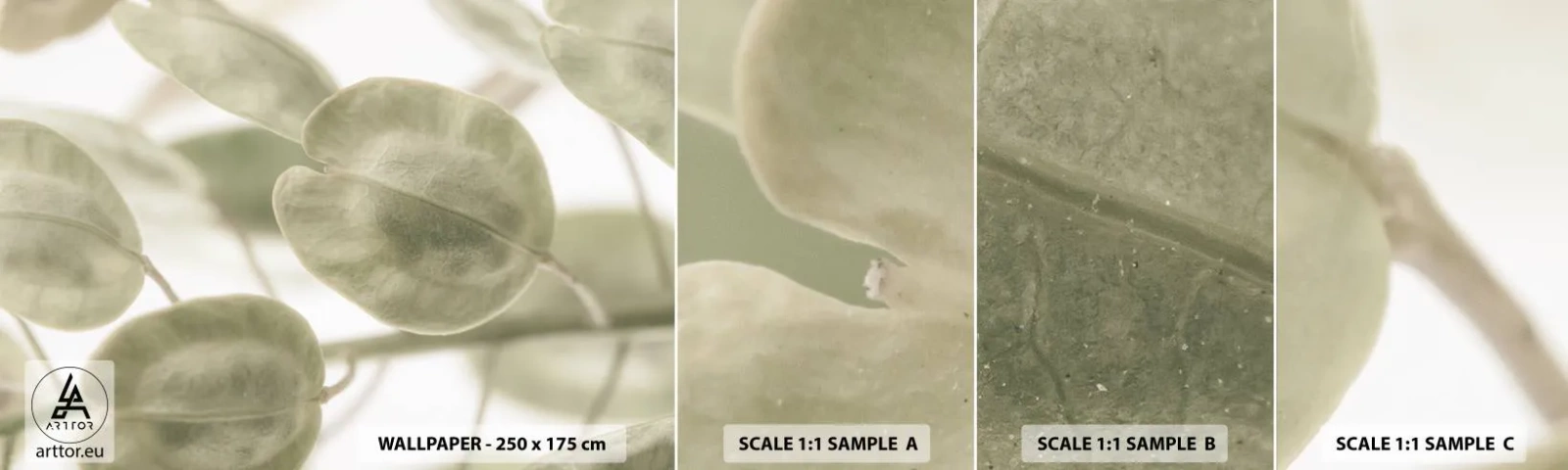 Vzorka samolepiacej fototapety Deluxe Sticker - Na začiatku bolo lístie… - Kvety, Pokojne, Listy - 100x30 cm