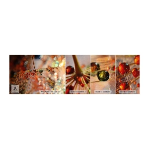 Vzorka fototapety Premium Canvas - Navlečené na pavučinu - Abstrakcia, pavučina, Kus - 100x30 cm
