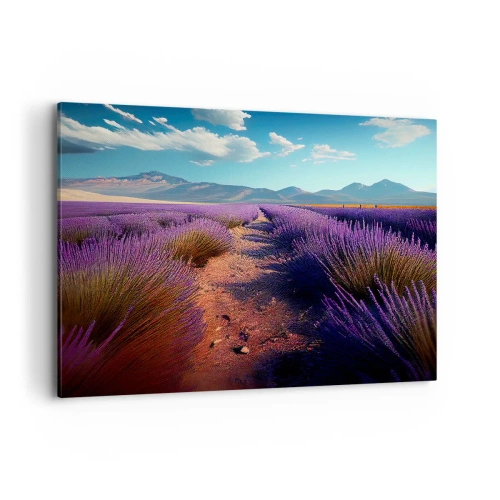 Obraz na plátne - Voňavé polia - 100x70 cm
