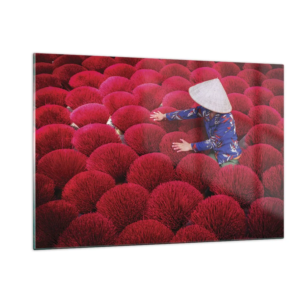 Obraz na skle - Na ryžovom poli - 120x80 cm