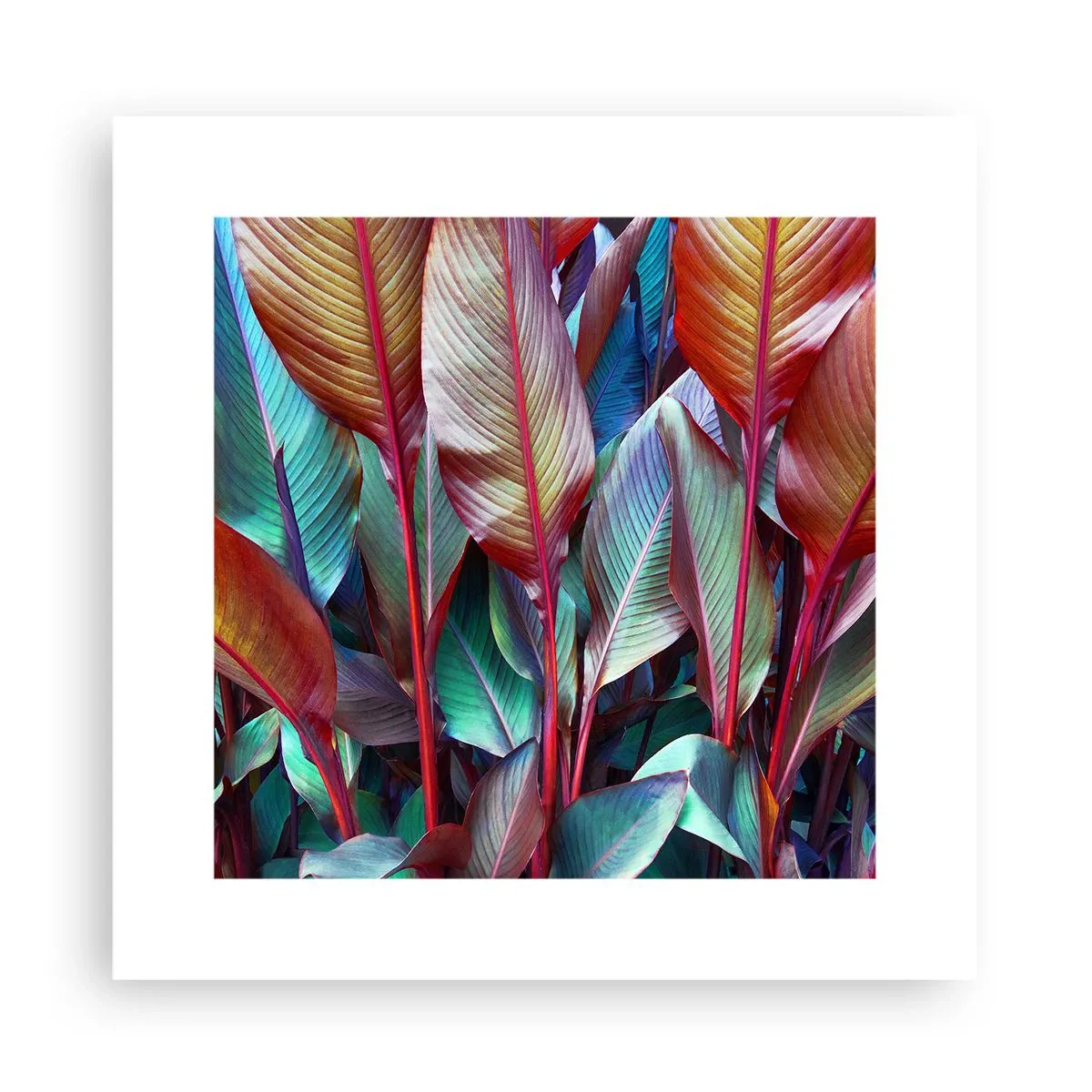 Plagát - Farebná húština - 30x30 cm