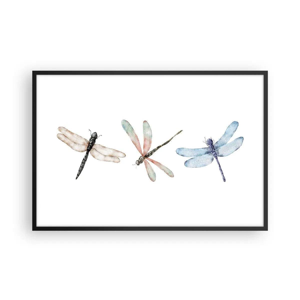 Plagát v čiernom ráme - Beztiažové vážky - 91x61 cm