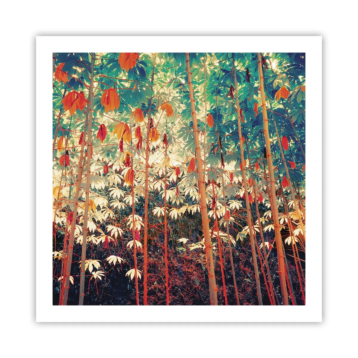 Plagát - Tajný život listov - 60x60 cm