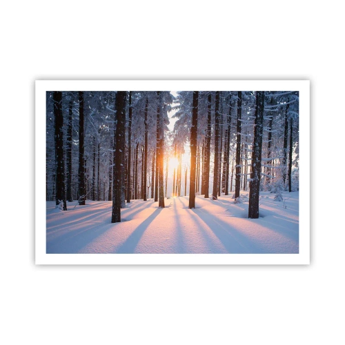 Plagát - Jasne čierne na bielom - 91x61 cm