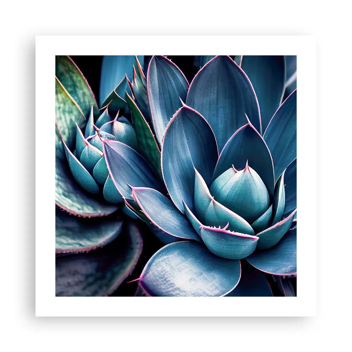 Plagát - Vitálna sila - 50x50 cm