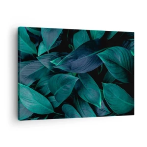 Obraz na plátne - Detailný záber na zelené listy s tmavým pozadím - 70x50cm - Zeleň sama o sebe - Moderná nástenná dekorácia do obývacej izby a spálne ARTTOR