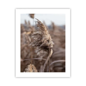 Plagát - Čas odletieť s vetrom - 40x50 cm