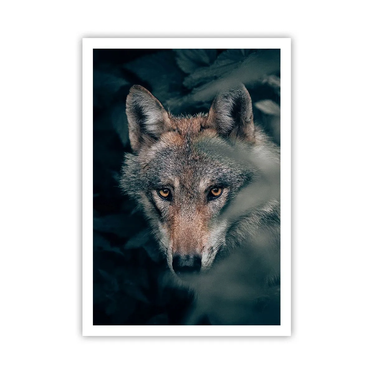 Plagát - Predátor - 70x100 cm