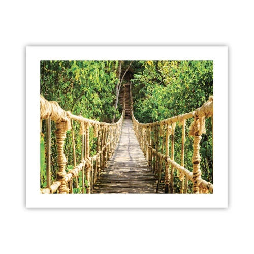 Plagát - Zavesený v zelenej - 50x40 cm