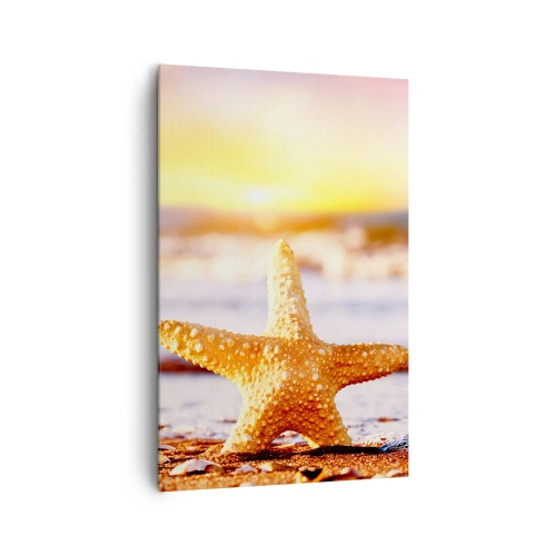 Obraz na plátne - Morský darček - 80x120 cm