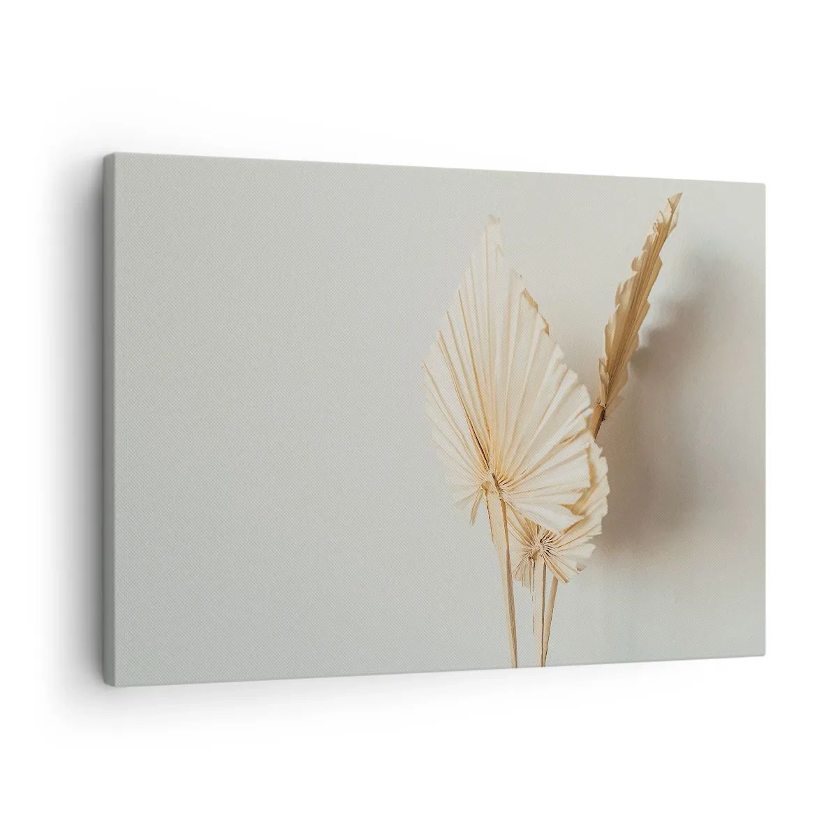 Obraz na plátne - Sušené palmové listy v minimalistickom aranžmáne - 70x50cm - Keď potrebuješ útechu - Moderná nástenná dekorácia do obývacej izby a spálne ARTTOR