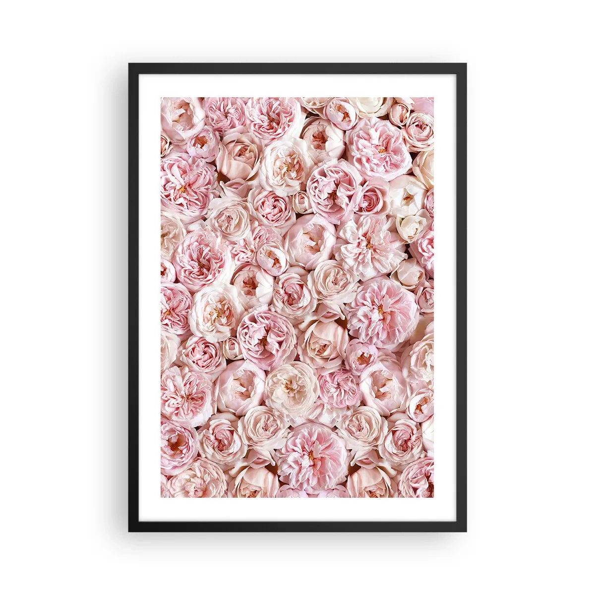Plagát v čiernom ráme - Romantický aranžmán ružových kvetov zblízka - 50x70cm - Vydláždená ružami - Moderná nástenná dekorácia do obývacej izby a spálne ARTTOR