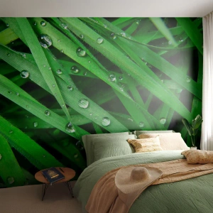 Fototapeta Standard Eco - Hrajte na zelenú - Príroda, Zelená tráva, Záhrada - 300x210 cm