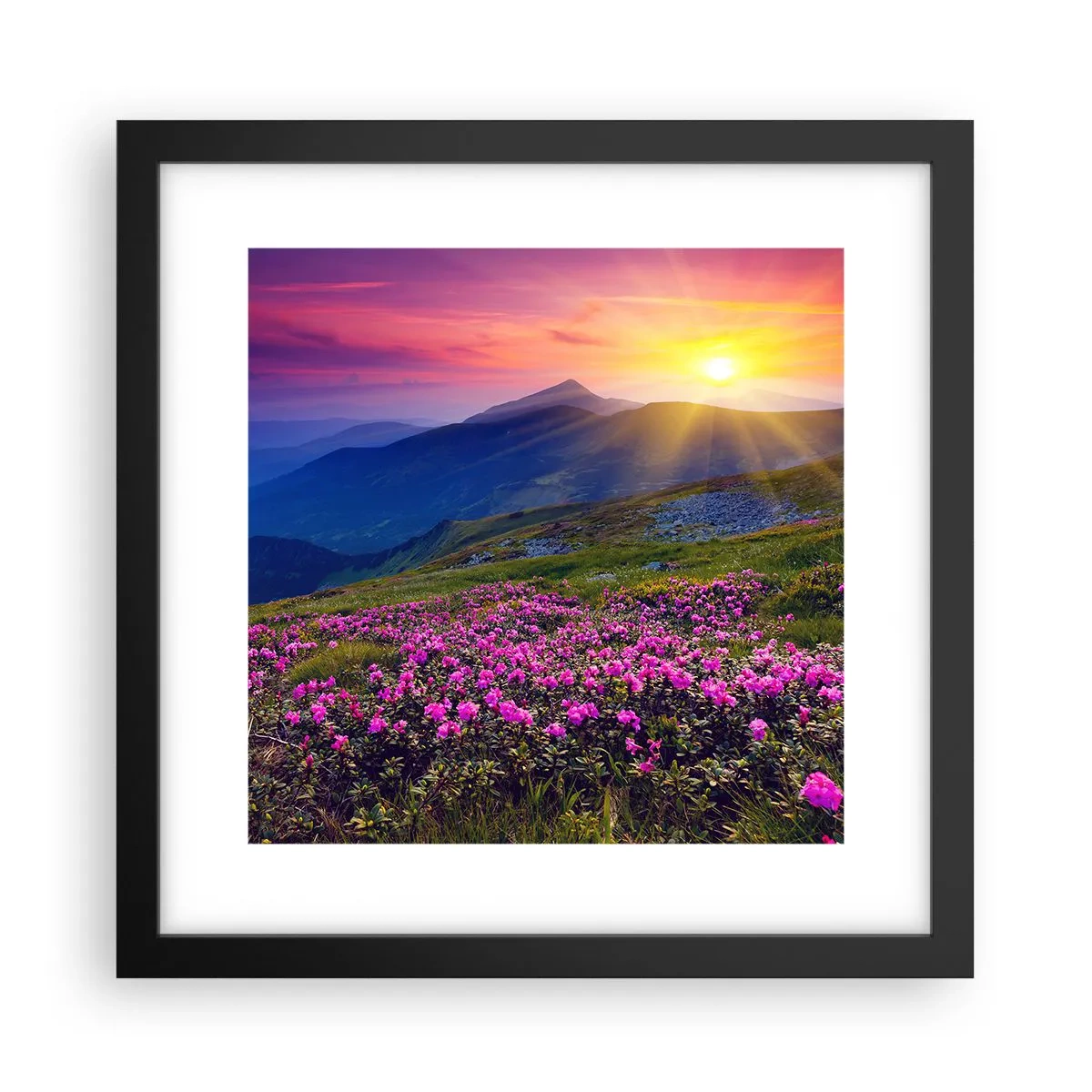 Plagát v čiernom ráme - …A okolo vonia kosodrevina a voňajú byliny - 30x30 cm