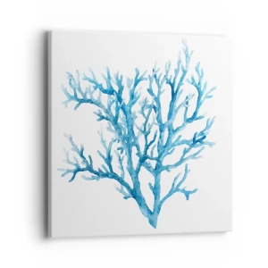 Obraz na plátne - Morský filigrán - 40x40 cm