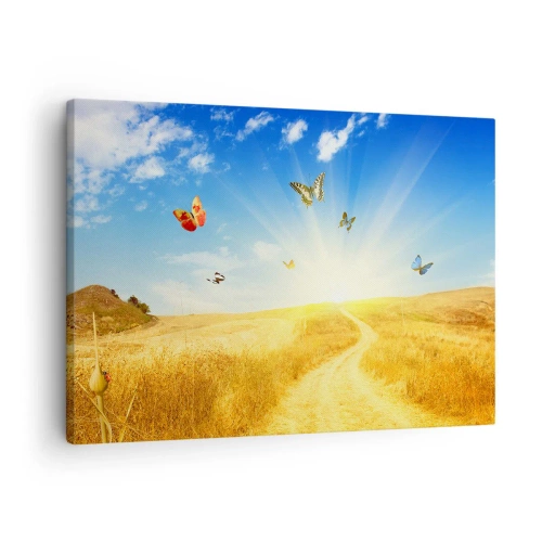 Obraz na plátne - Zlaté pole, chodník a motýle na pozadí modrej oblohy - 70x50cm - Ako nemilovať leto? - Moderná nástenná dekorácia do obývacej izby a spálne ARTTOR