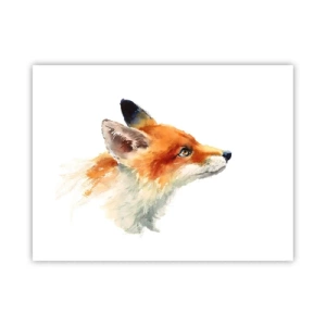 Plagát - Opatrnosti nie je nikdy dosť - 40x30 cm