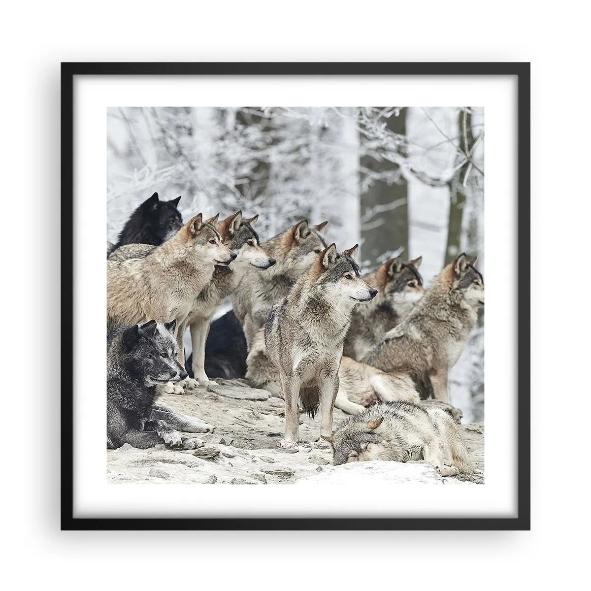 Plagát v čiernom ráme - Rodina a priatelia - 50x50 cm