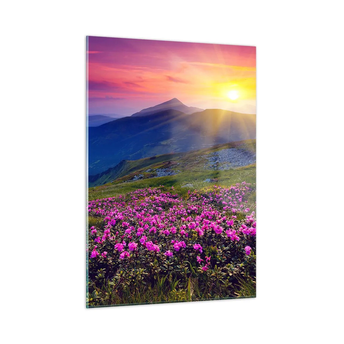 Obraz na skle - …A okolo vonia kosodrevina a voňajú byliny - 50x70 cm