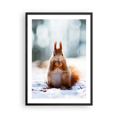 Plagát v čiernom ráme - Veverička v snehu v zimnom lese - 50x70cm - Čo sa tak pozeráš? - Moderná nástenná dekorácia do obývacej izby a spálne ARTTOR