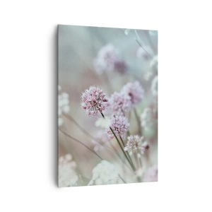 Obraz na plátne - Sladké filigrány byliniek - 70x100 cm