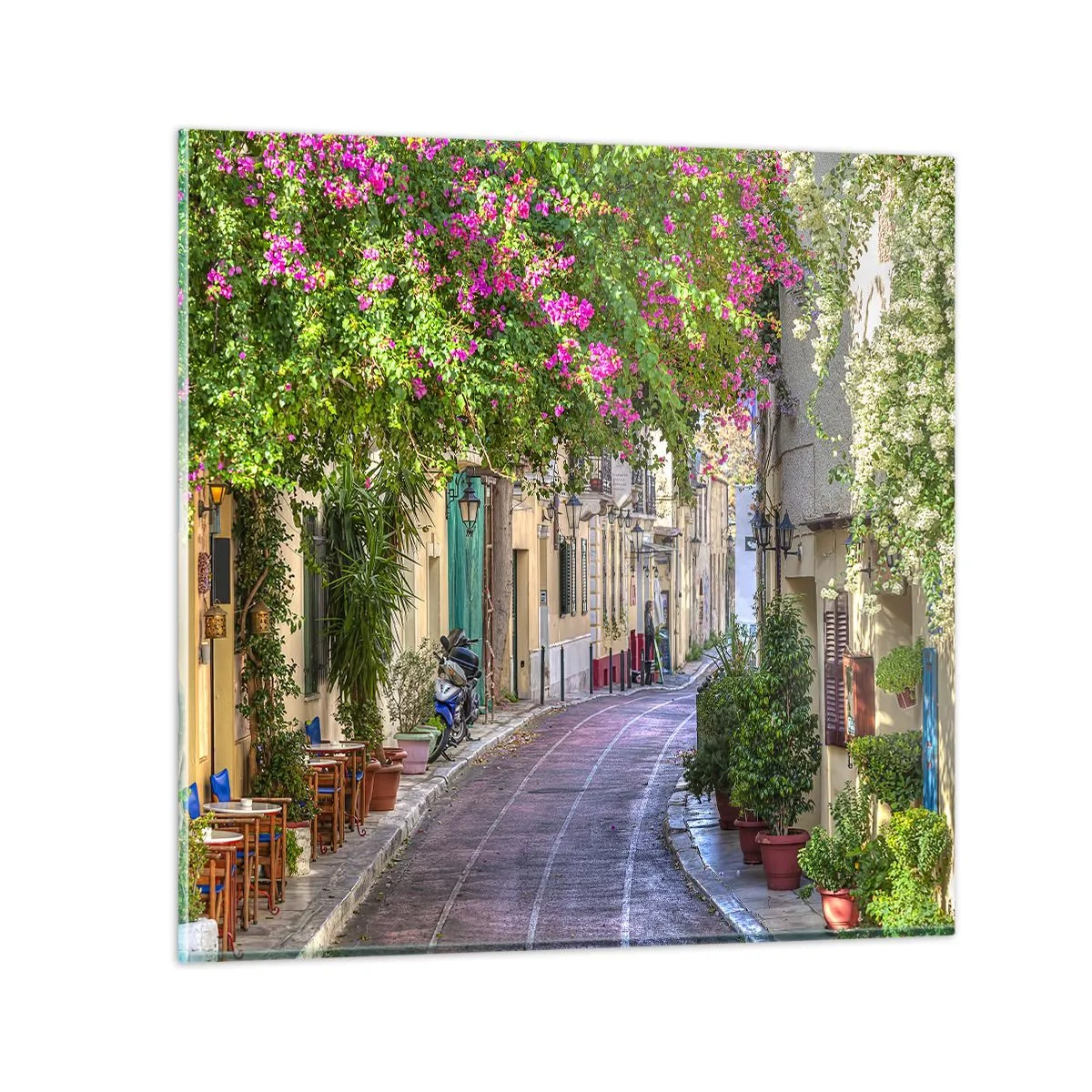 Obraz na skle - Kvitnúce zákutie - 70x70 cm