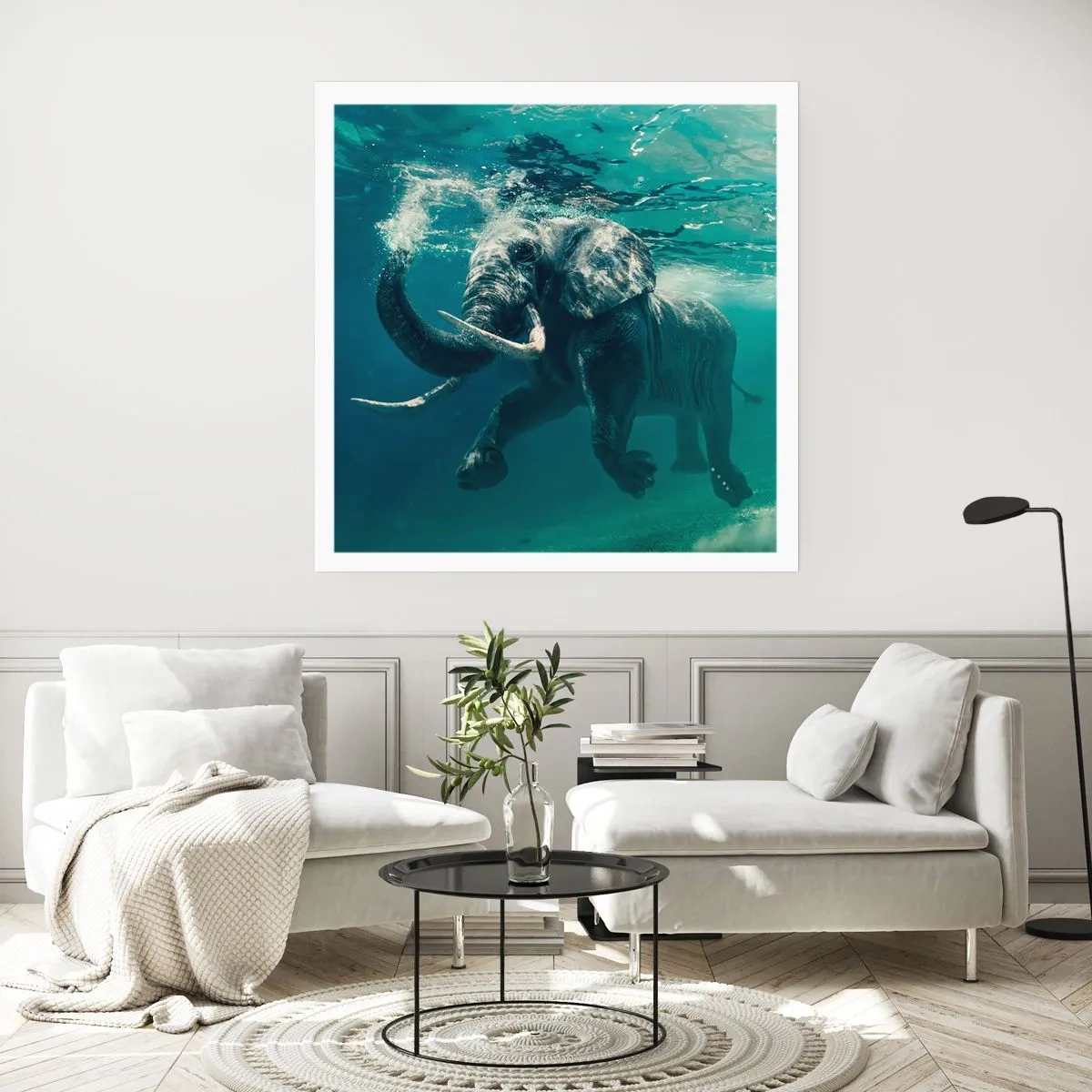 Plagát - Všetci radi plávajú - 50x50 cm