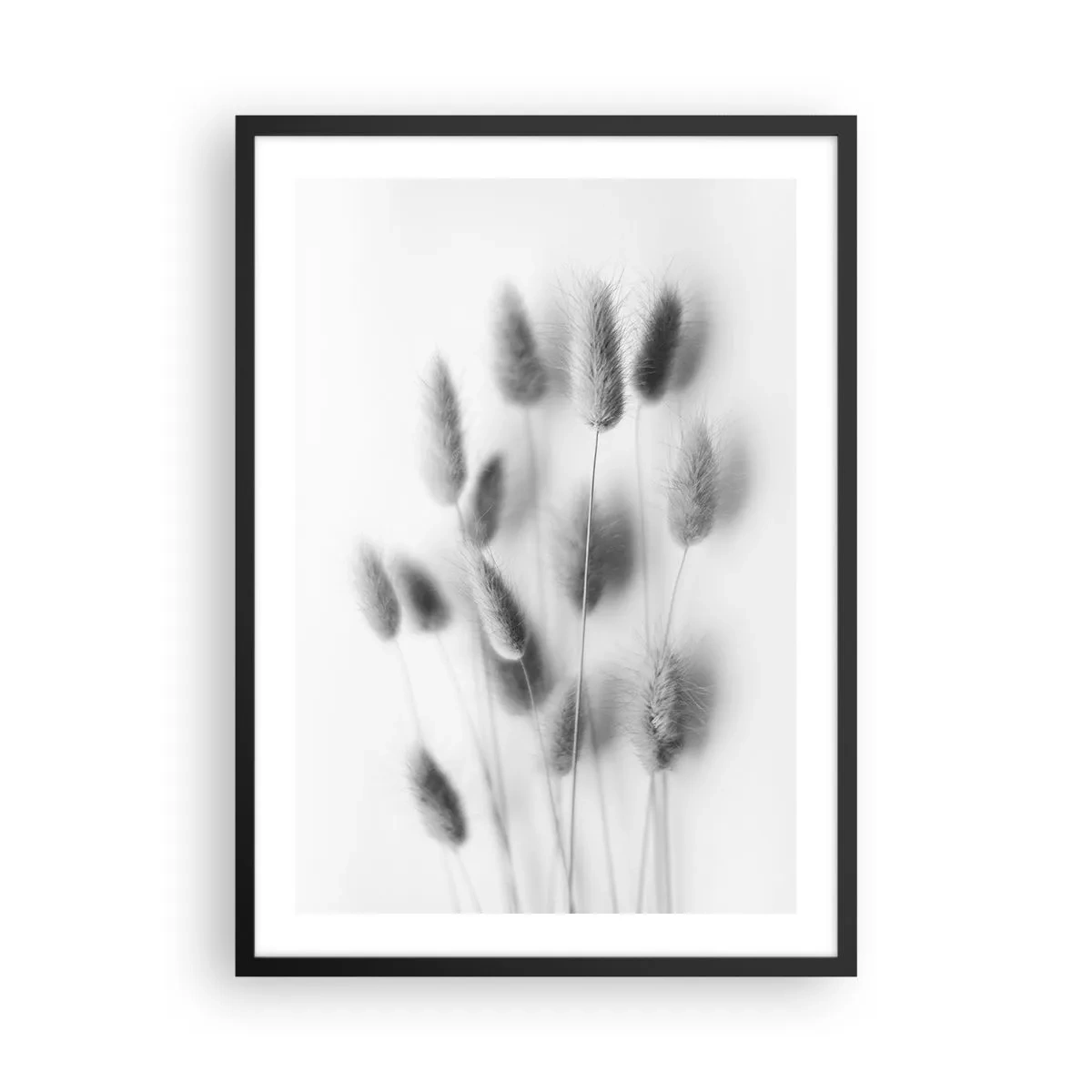 Plagát v čiernom ráme - Čiernobiele nadýchané klasy trávy - 50x70cm - Našuchorená tráva - Moderná nástenná dekorácia do obývacej izby a spálne ARTTOR