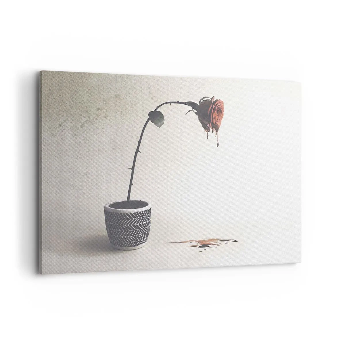 Obraz na plátne - Rosa dolorosa - 100x70 cm