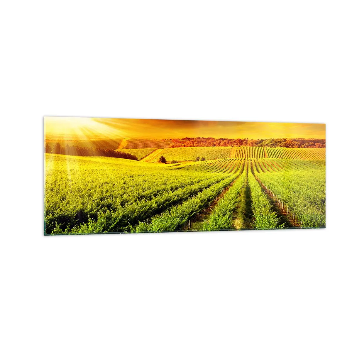 Obraz na skle - Pod austrálskym slnkom - 140x50 cm