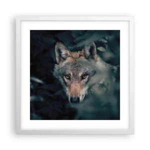 Plagát v bielom ráme - Predátor - 40x40 cm