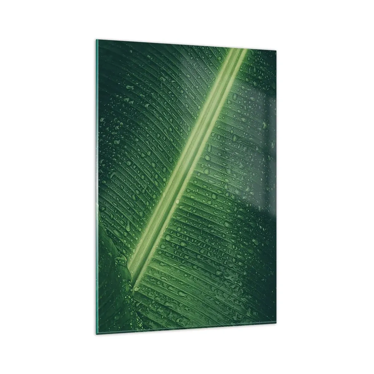 Obraz na skle - Štruktúra zelenej - 80x120 cm
