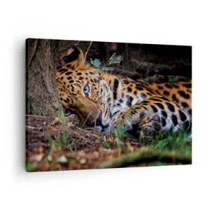 Obraz na plátne - Leopard ležiaci v tieni stromov - 70x50cm - Ver mi - Moderná nástenná dekorácia do obývacej izby a spálne ARTTOR