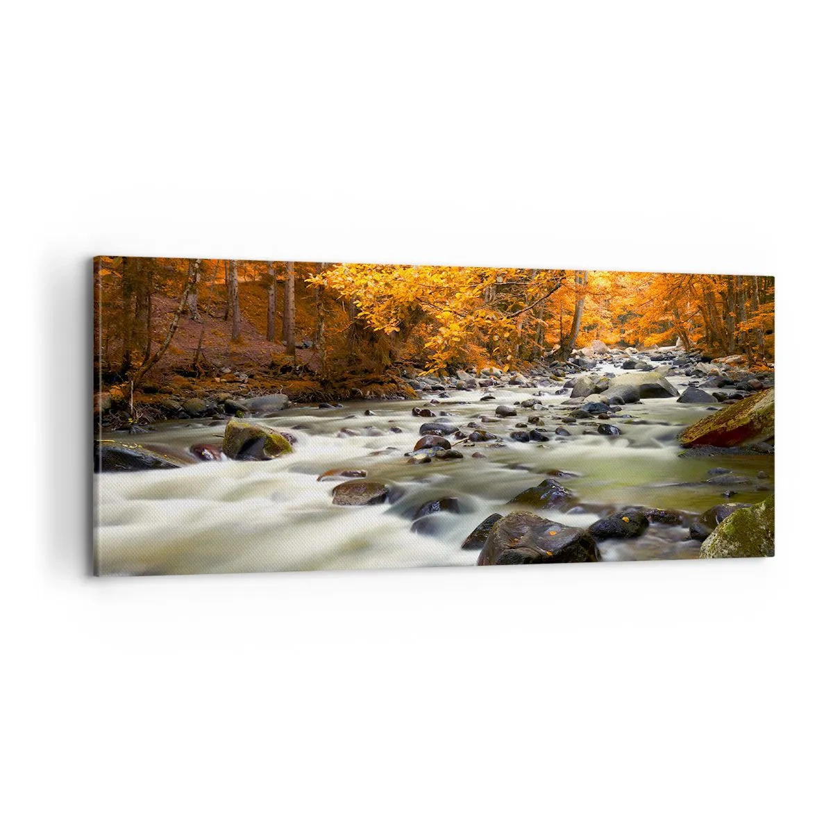 Obraz na plátne - Potok v zlatom lese - 100x40 cm
