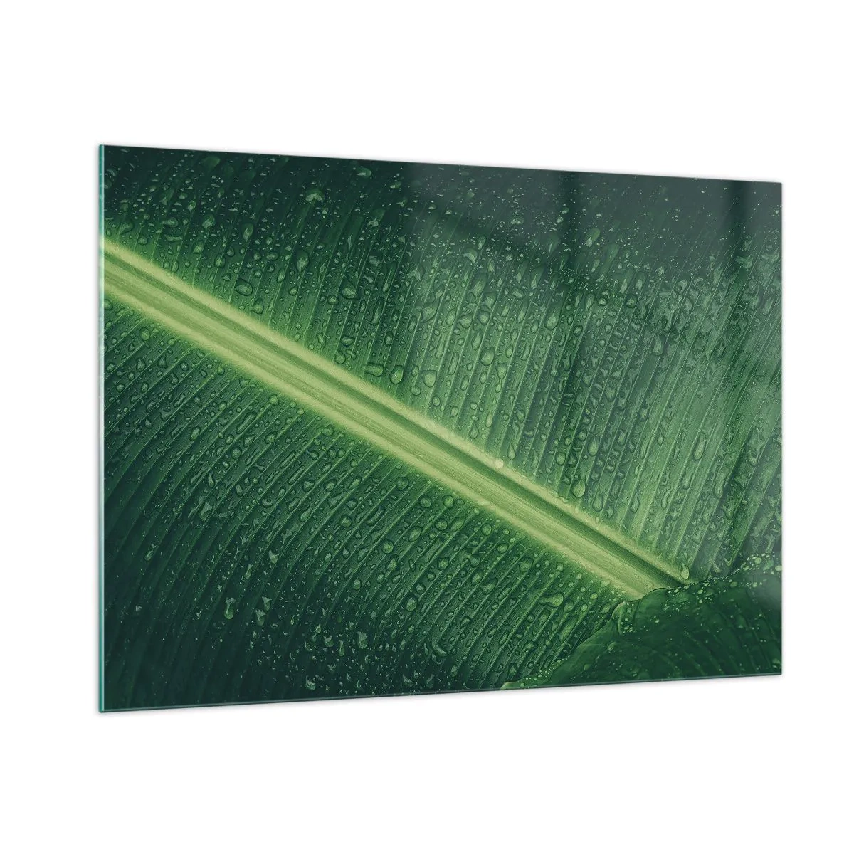 Obraz na skle - Štruktúra zelenej - 100x70 cm