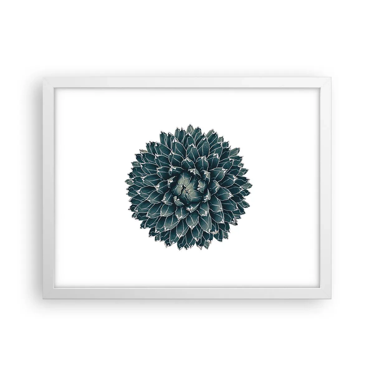 Plagát v bielom ráme - Hviezda púšte - 40x30 cm