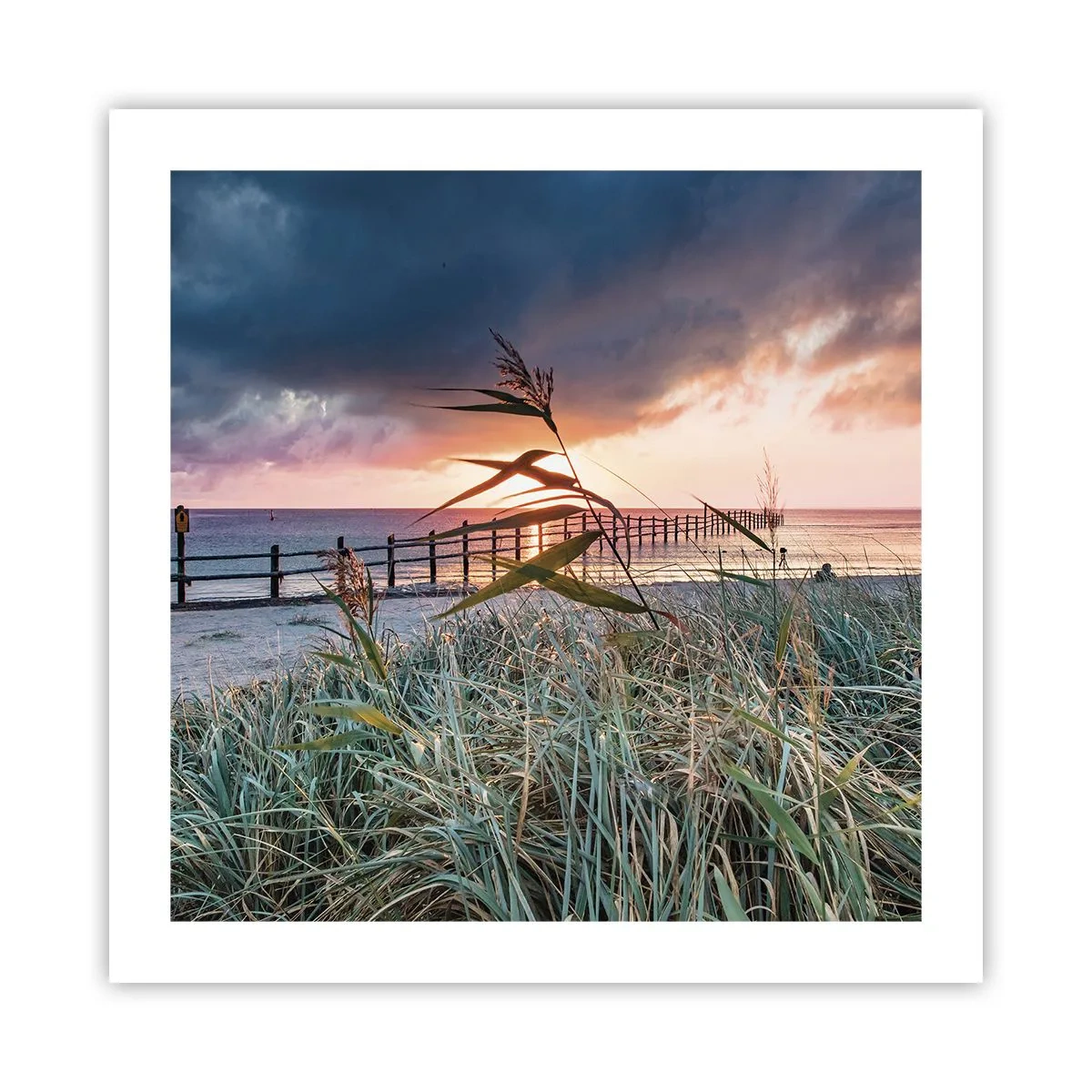 Plagát - Neodviate vetrom - 50x50 cm