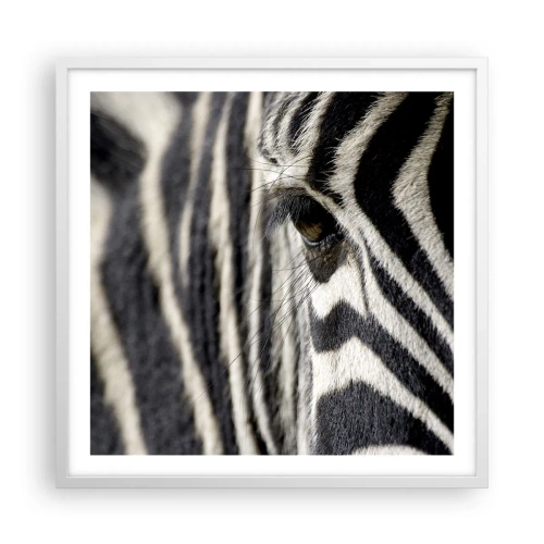 Plagát v bielom ráme - Portrét s pruhmi - 60x60 cm