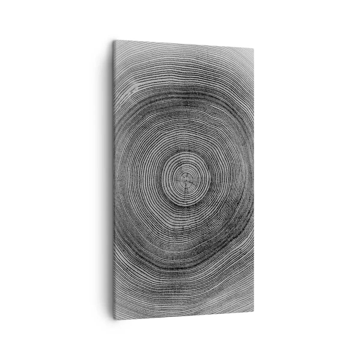 Obraz na plátne - Znamenie doby - 45x80 cm