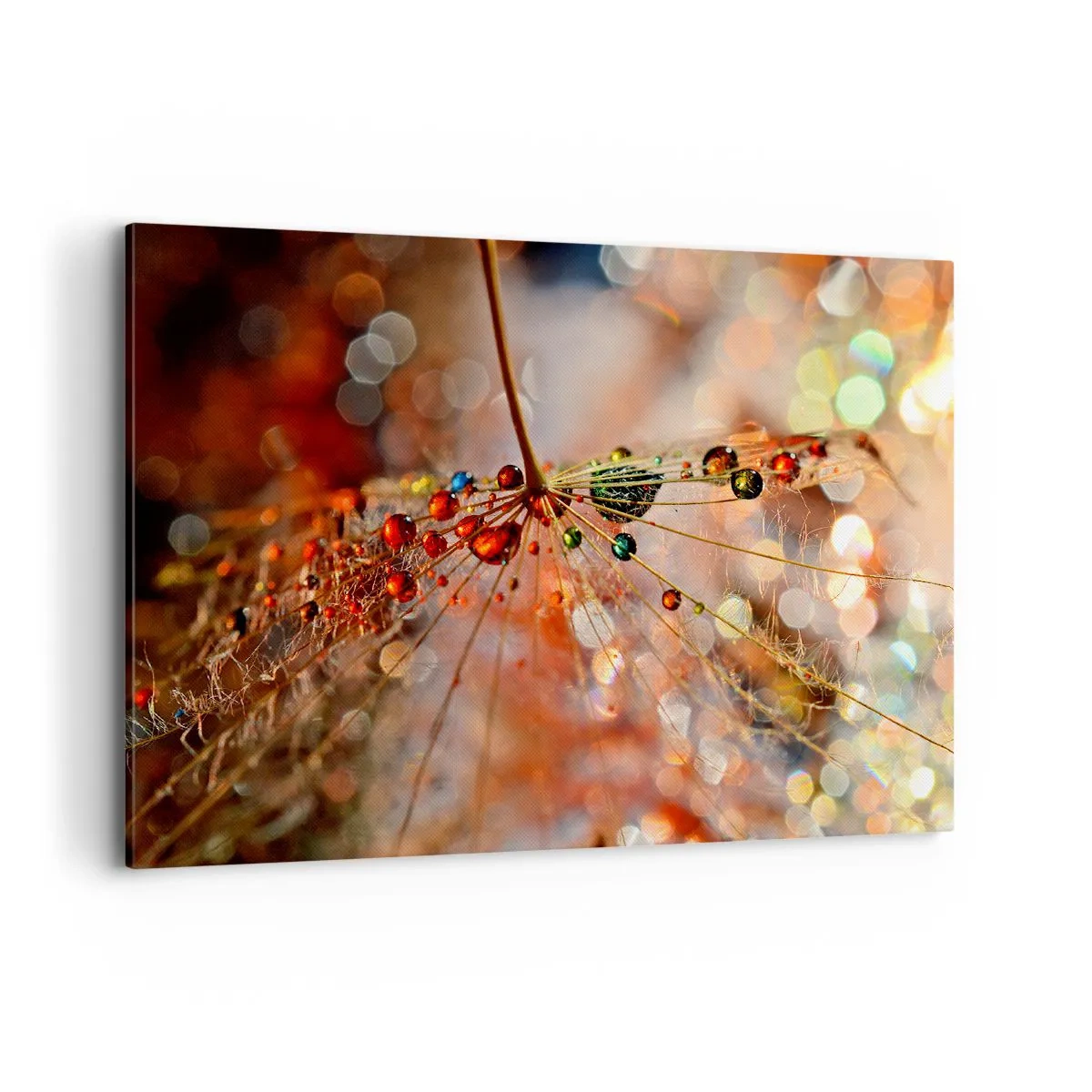 Obraz na plátne - Navlečené na pavučinu - 100x70 cm