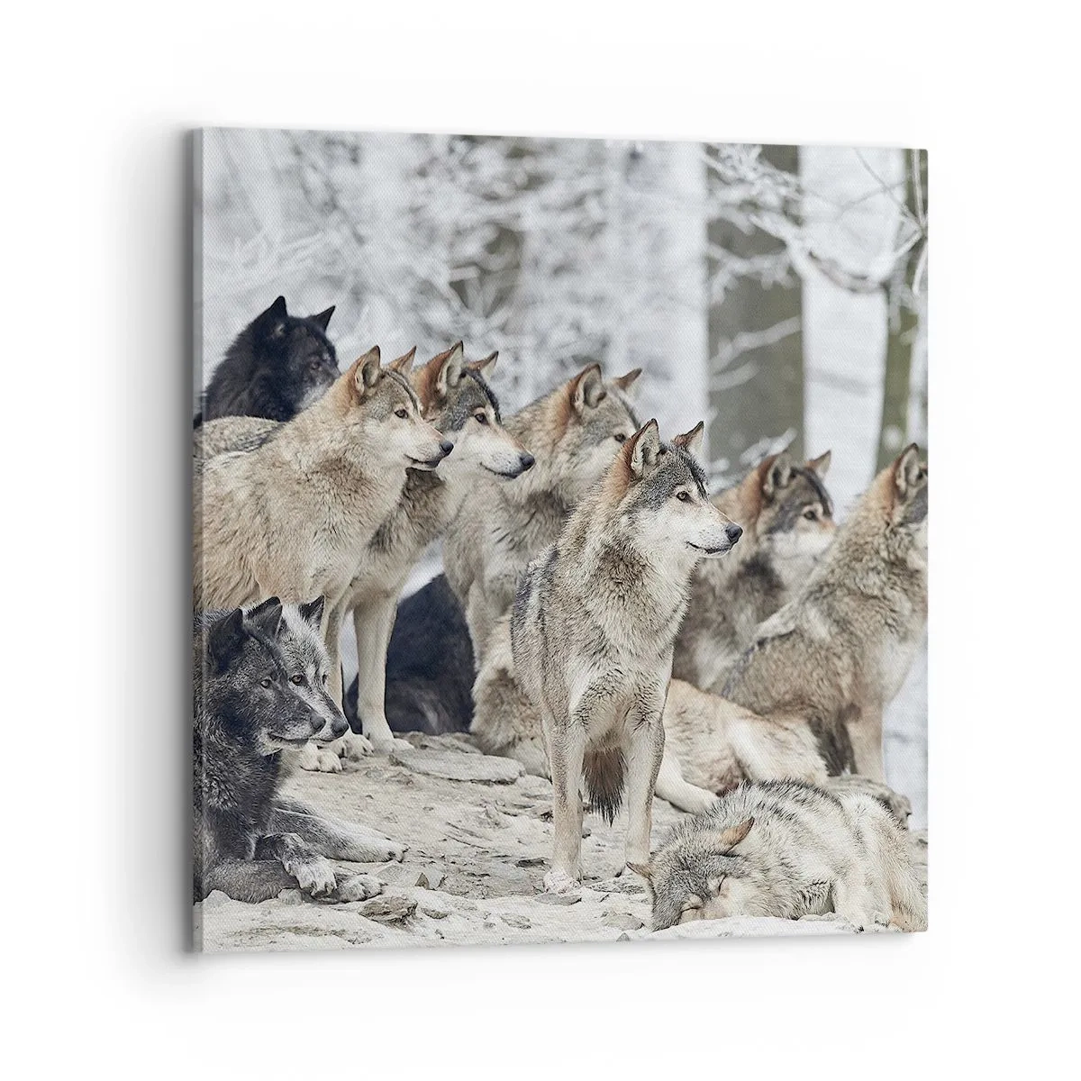 Obraz na plátne - Rodina a priatelia - 70x70 cm