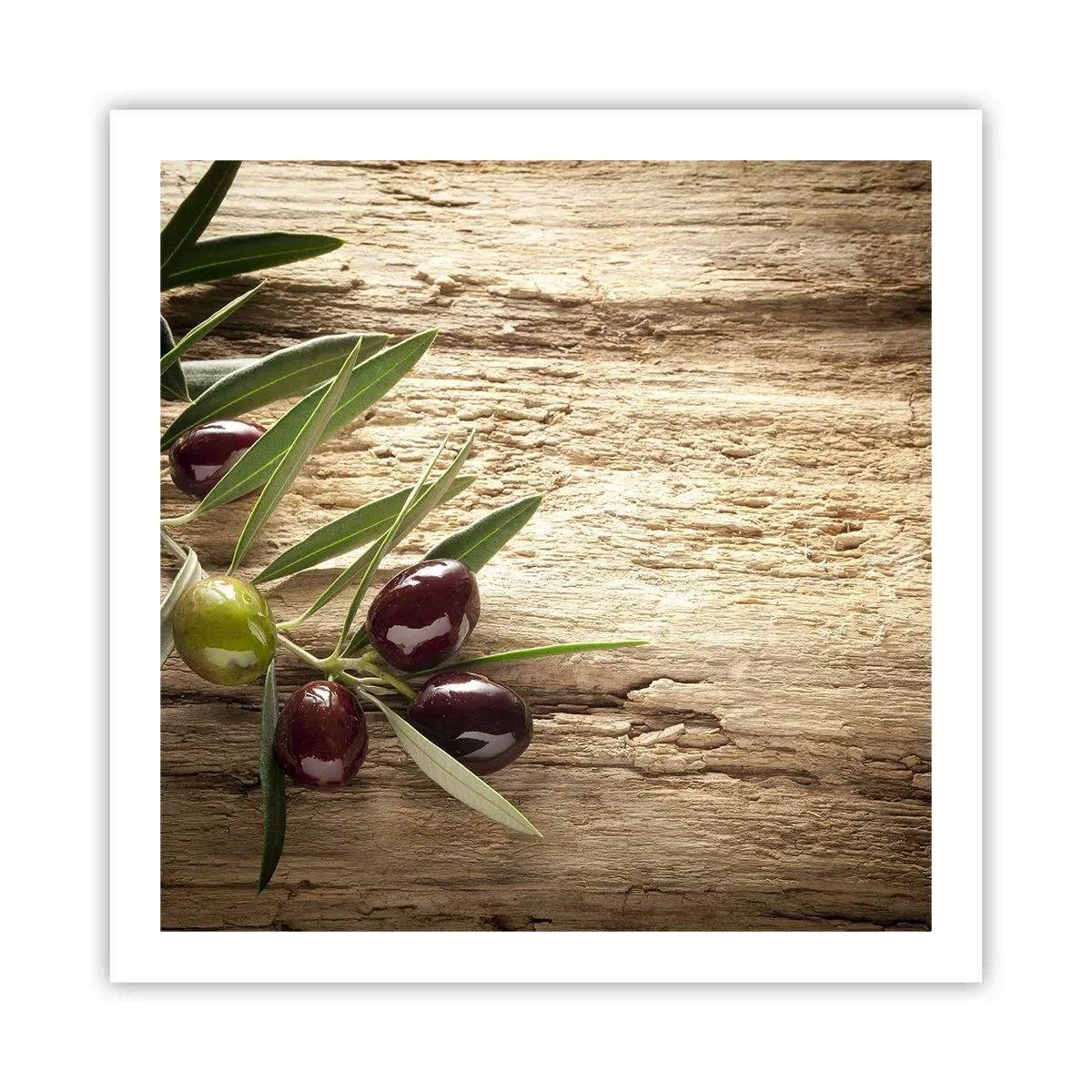 Plagát - Priamo od prírody - 60x60 cm