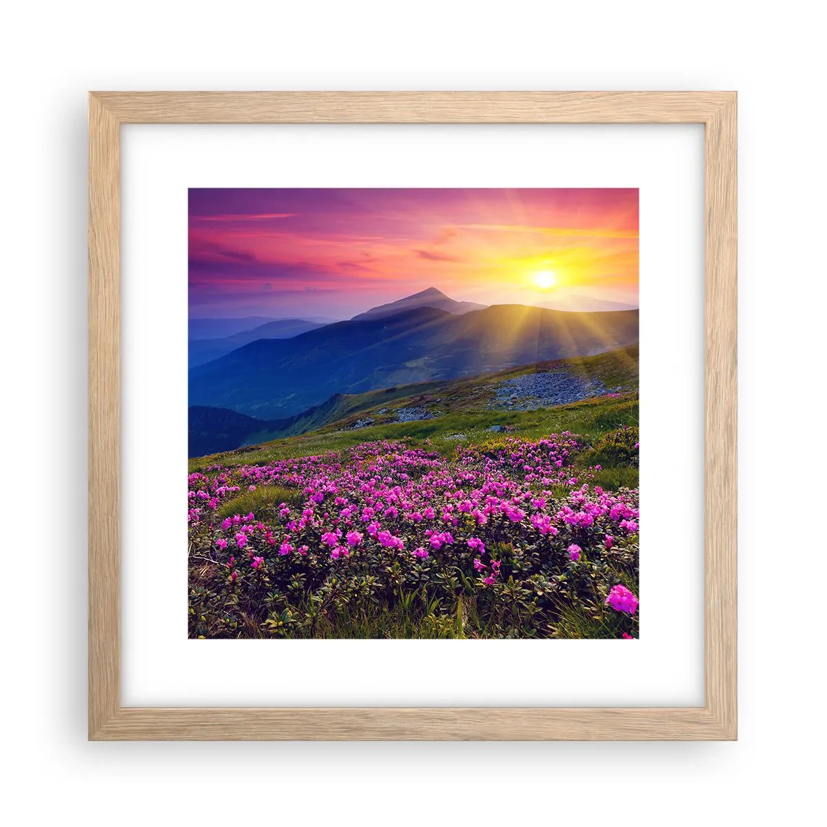 Plagát v ráme zo svetlého duba - …A okolo vonia kosodrevina a voňajú byliny - 30x30 cm